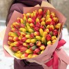 101 тюльпан огненный микс в упаковке